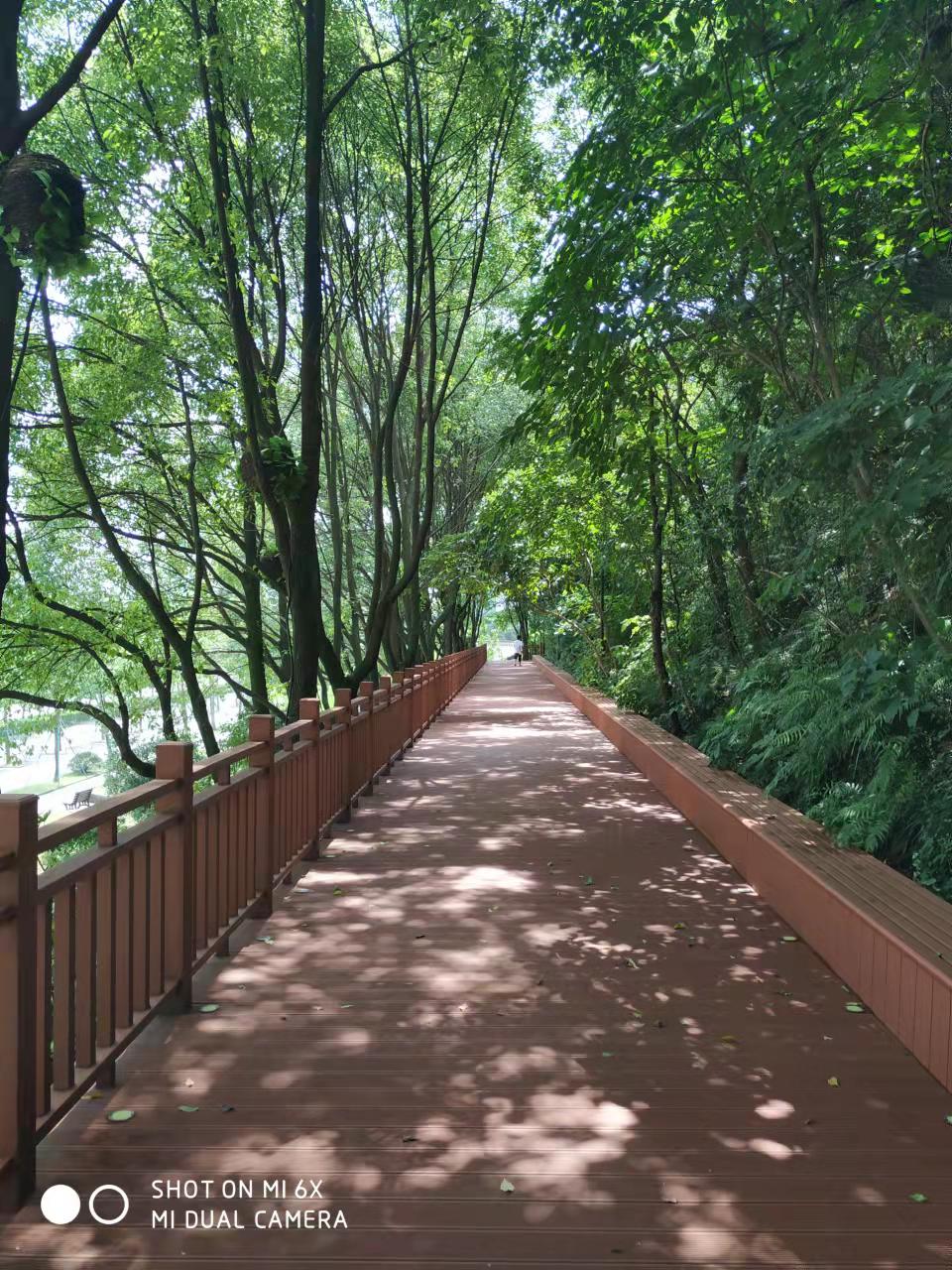 台州经济开发区赤龙山环山绿道游步道工程(木栈道)